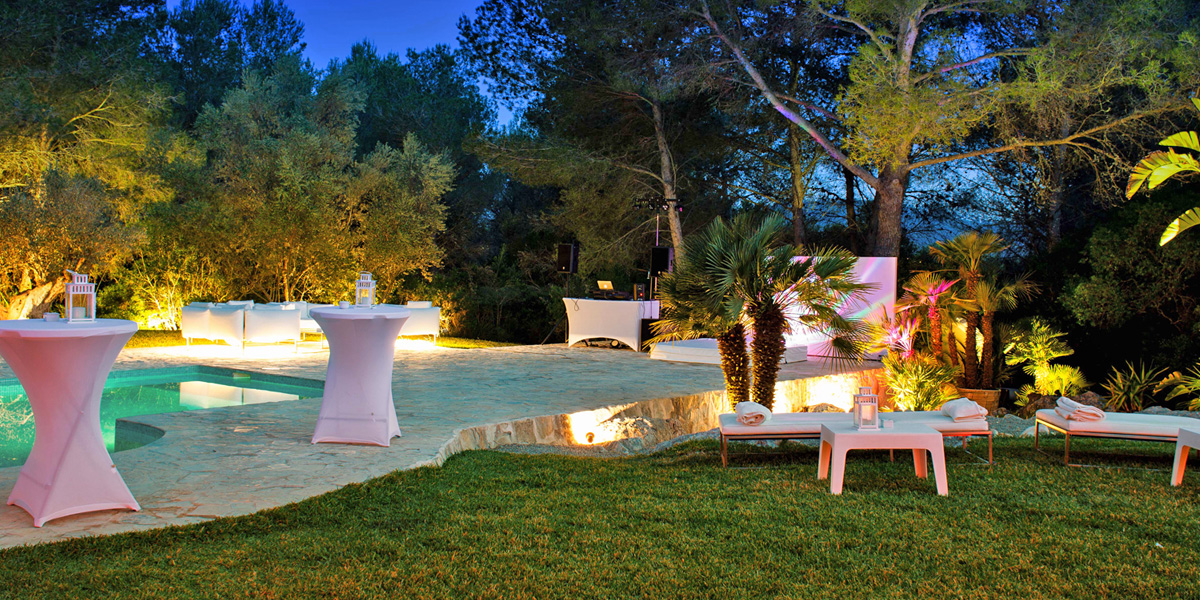 About Paradise Nights